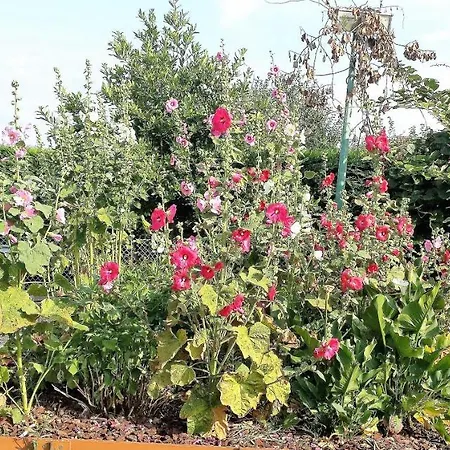 2 Privees Dans Un Jardin D'hiver, Garage Voiture, Velos, Motos Rum i privatbostad